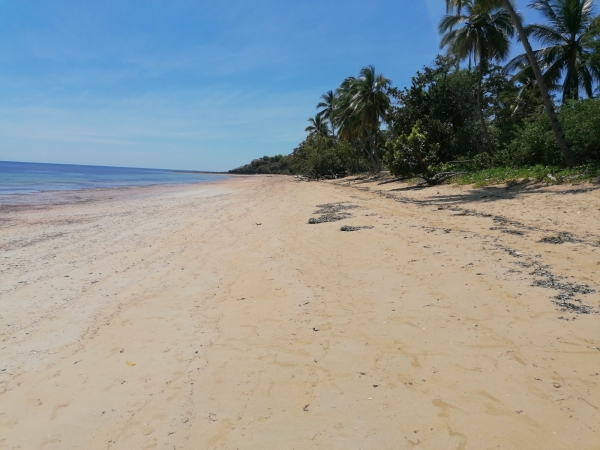 Terreno e Spiaggia - 90.000 MQ Amporaha Nosy Be Vendita